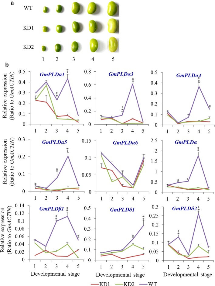 Fig. 2