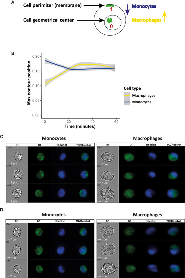 Figure 4