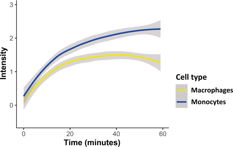 Figure 2