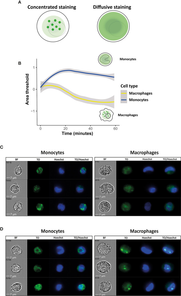 Figure 3