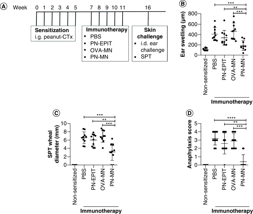 Figure 3. 