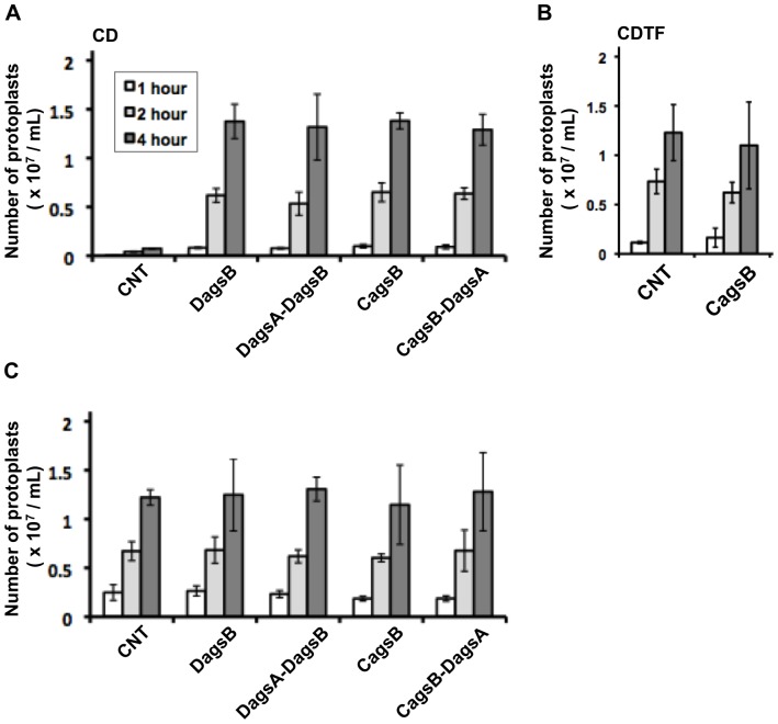 Figure 6