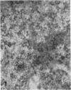 482