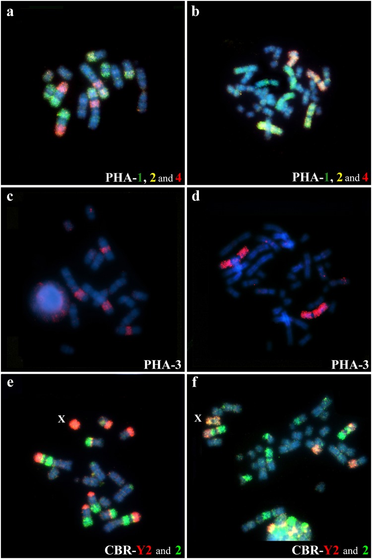 Fig 3