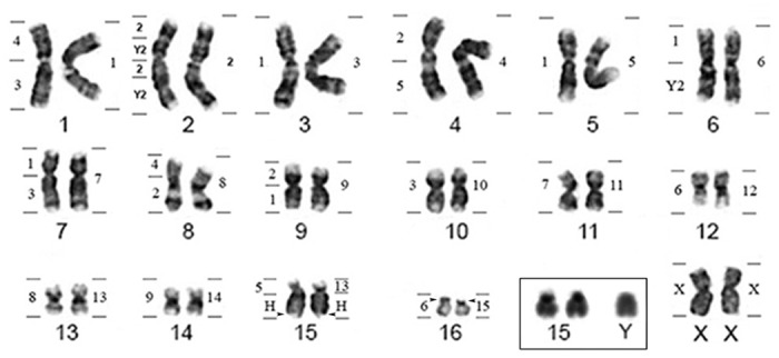 Fig 2