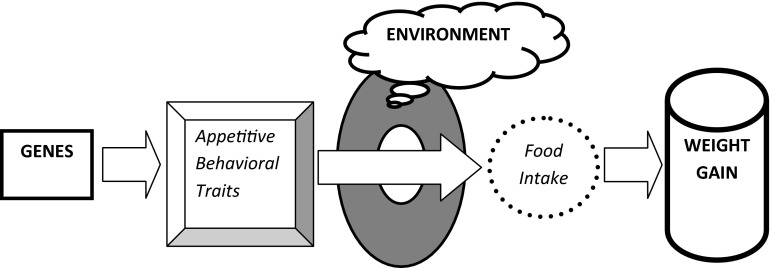 Fig. 1