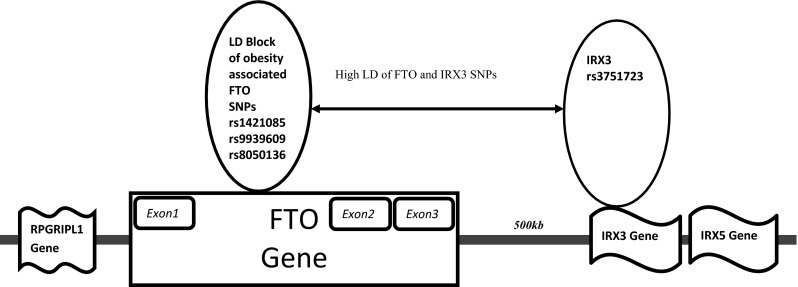 Fig. 3