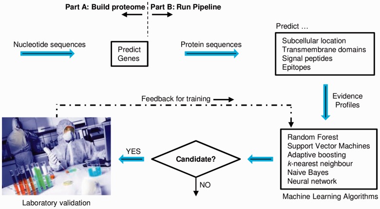 Fig. 3.