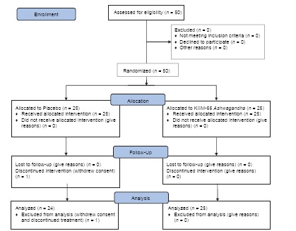 Flow Chart 1