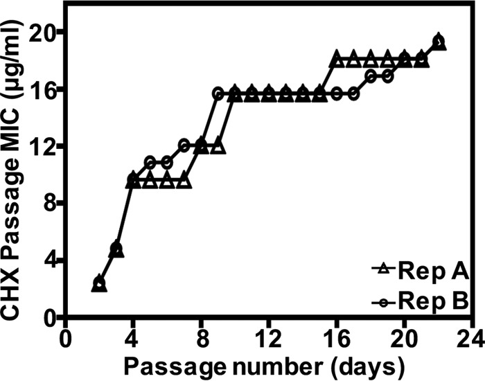 FIG 1