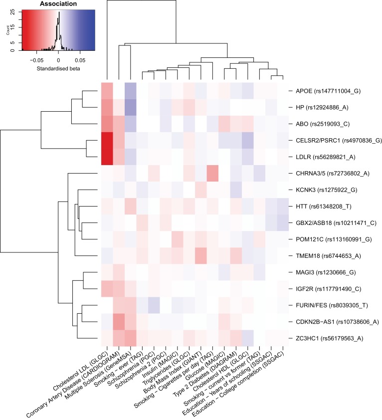 Figure 3—figure supplement 1.