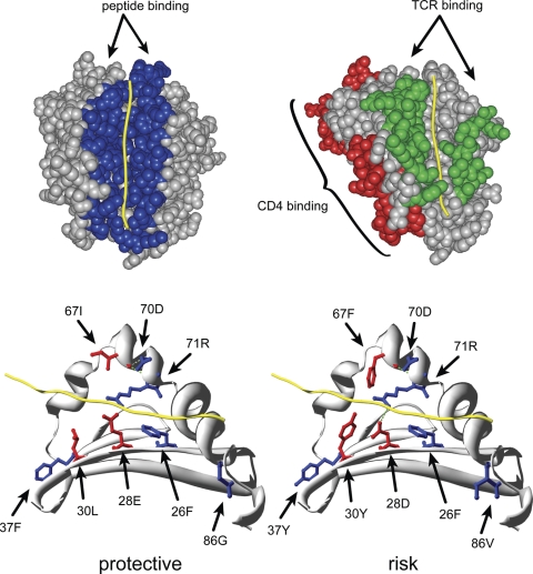 Figure 1.