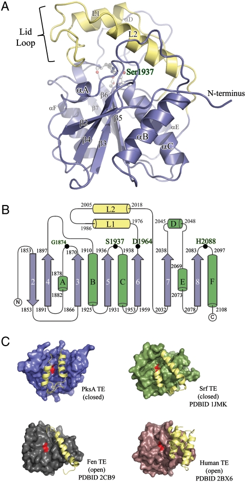 Fig. 3.