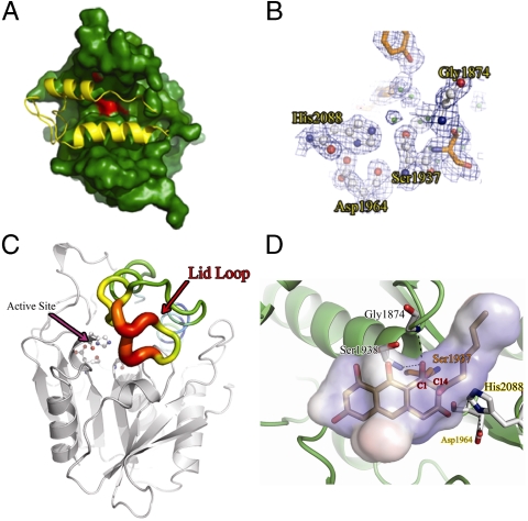 Fig. 4.