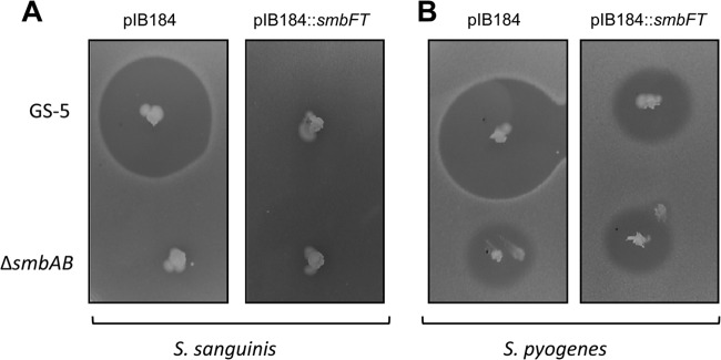 Fig 4