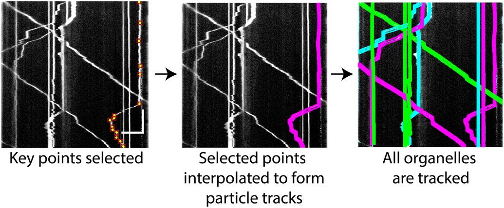 Figure 2.