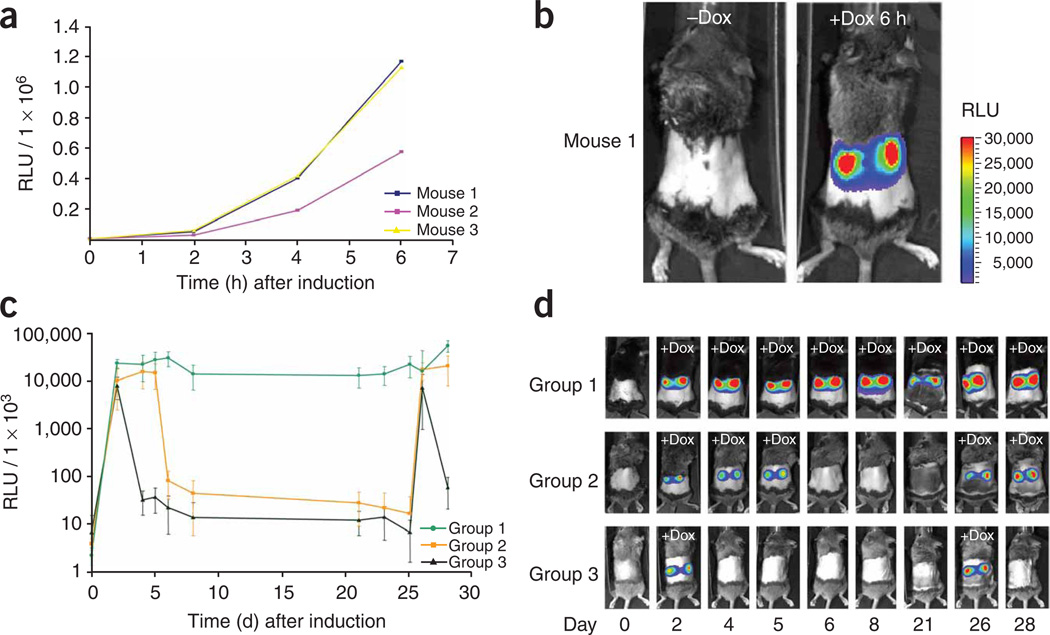 Figure 4