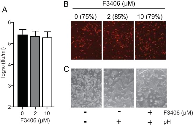 FIG 8