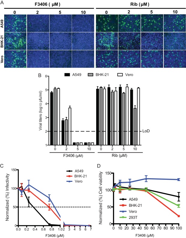 FIG 3