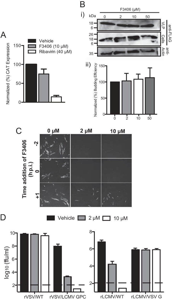 FIG 4