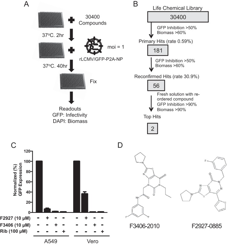 FIG 2