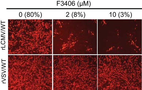 FIG 6