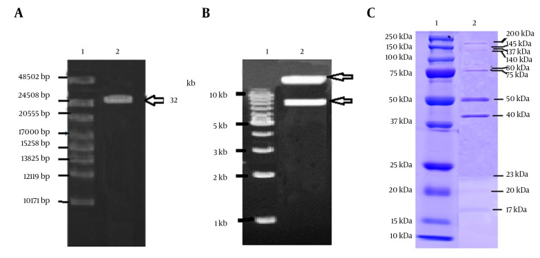 Figure 5.