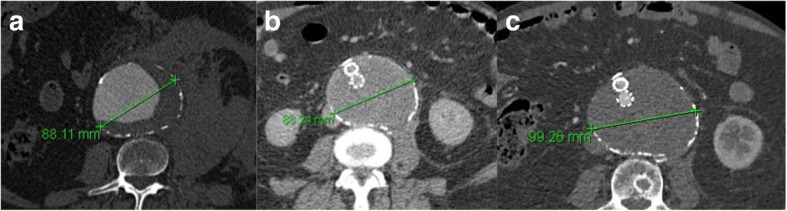 Fig. 6