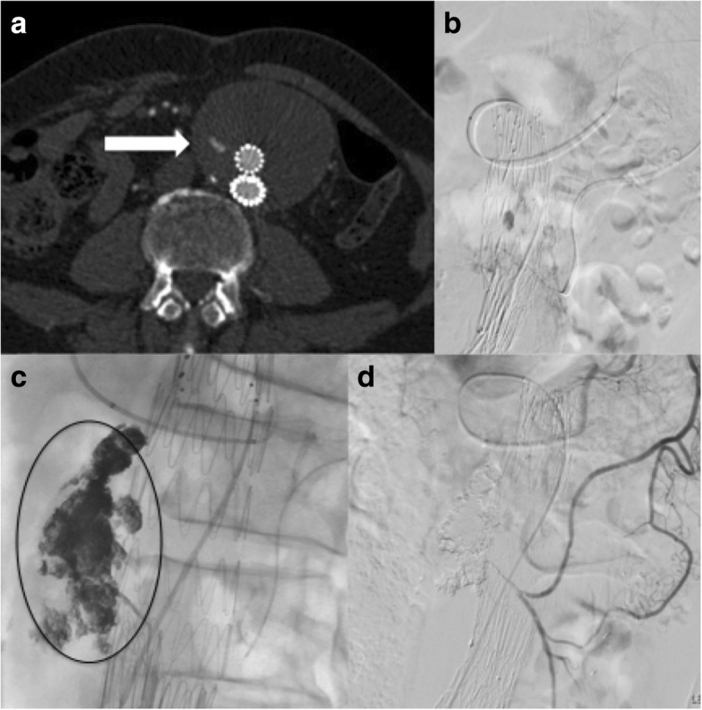 Fig. 4