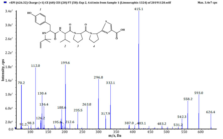 Figure 4