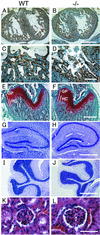 FIG. 5.