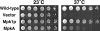 FIG. 3.