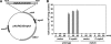 FIG. 8.