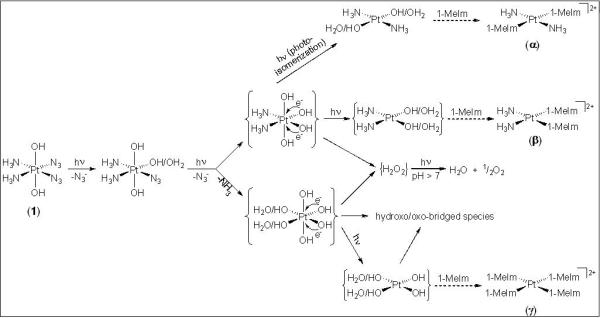 Scheme 2