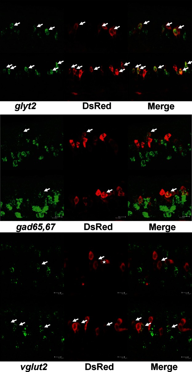 FIGURE 2