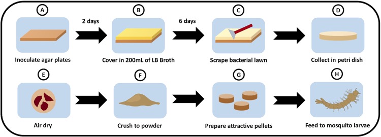 FIG 1