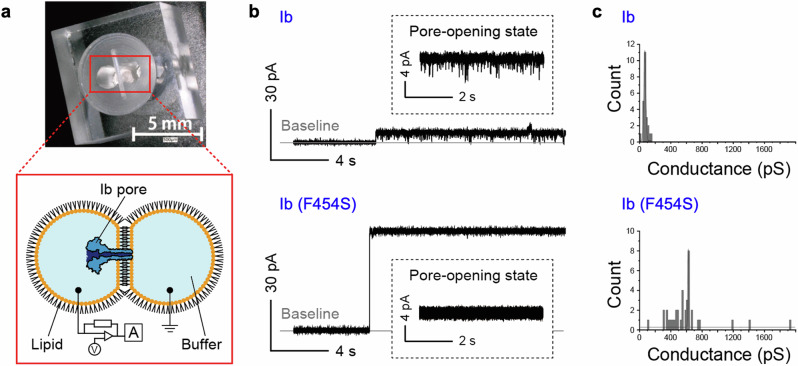 Fig. 4