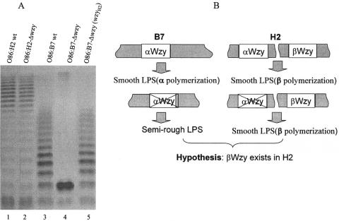 FIG. 5.