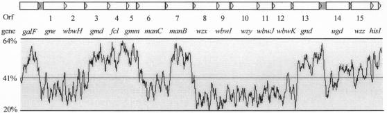 FIG. 2.