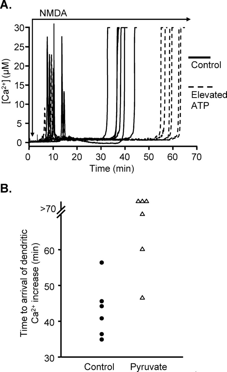 Figure 9.