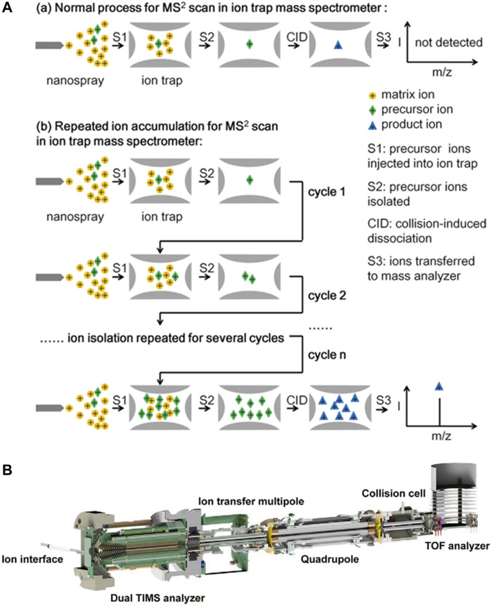 FIGURE 3