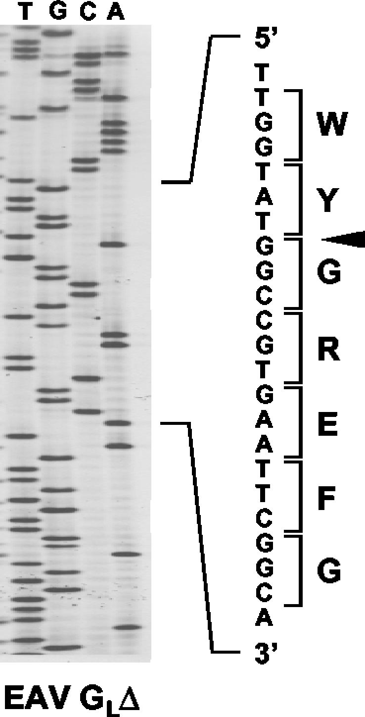 FIG. 2.