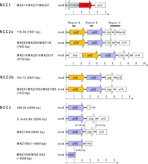 FIG 2 