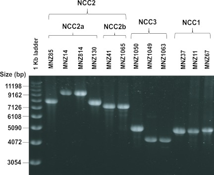 FIG 3 