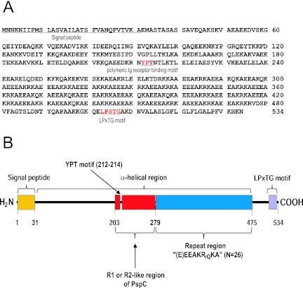 FIG 4 