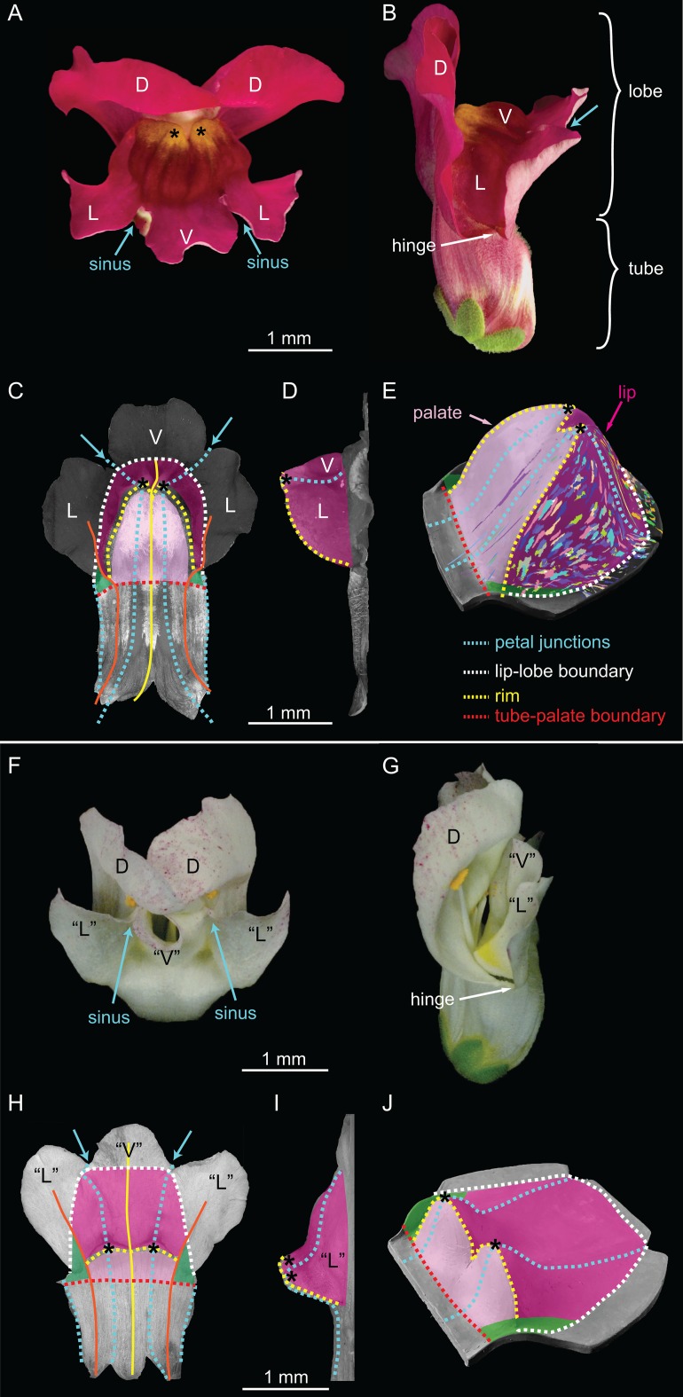 Figure 2.