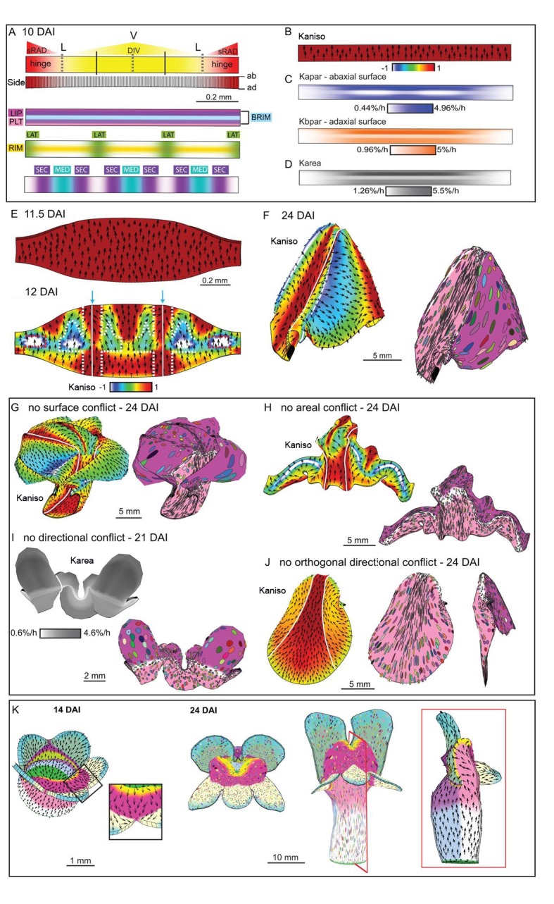 Figure 10.