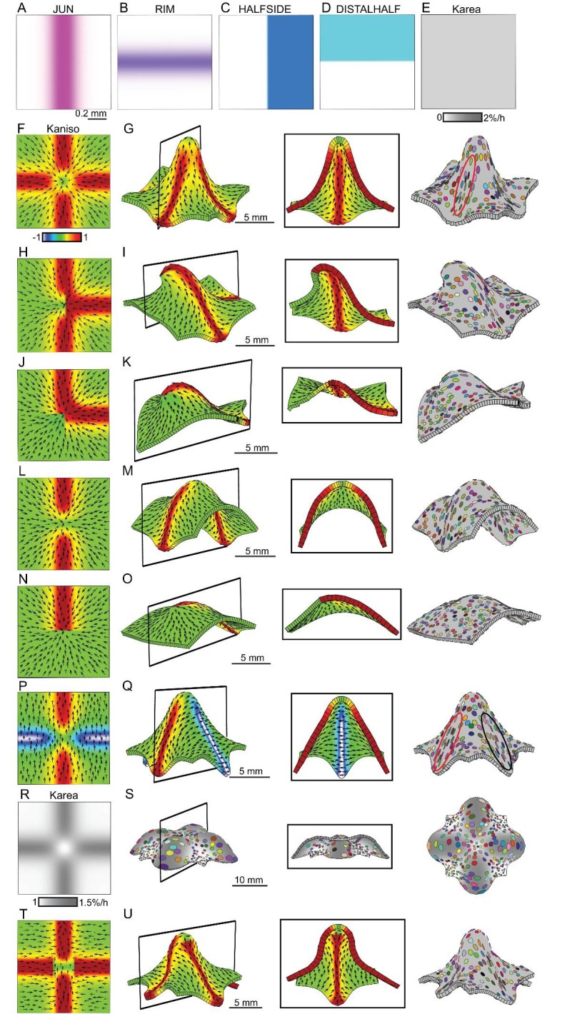 Figure 6.