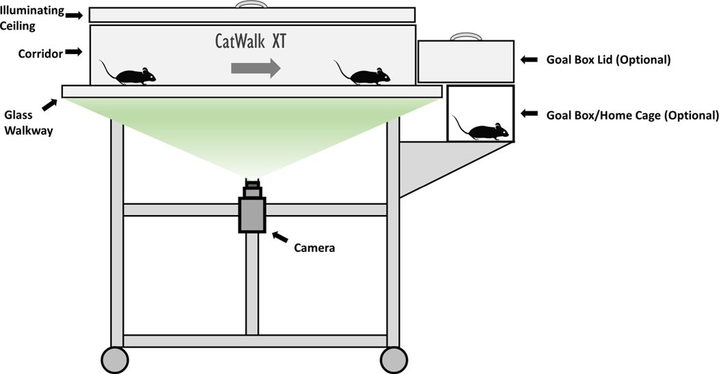 Figure 1 –