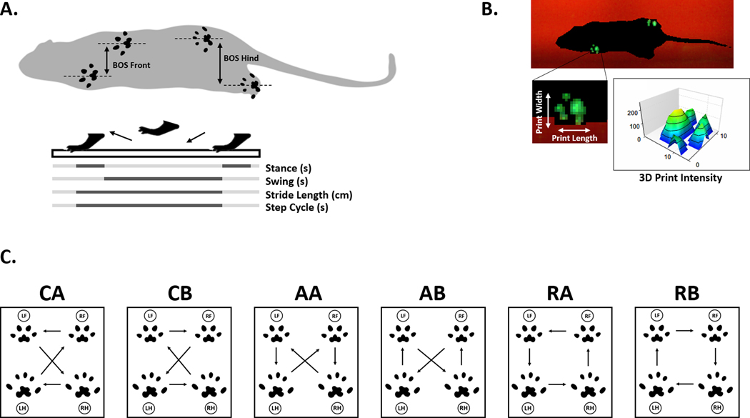 Figure 2 –